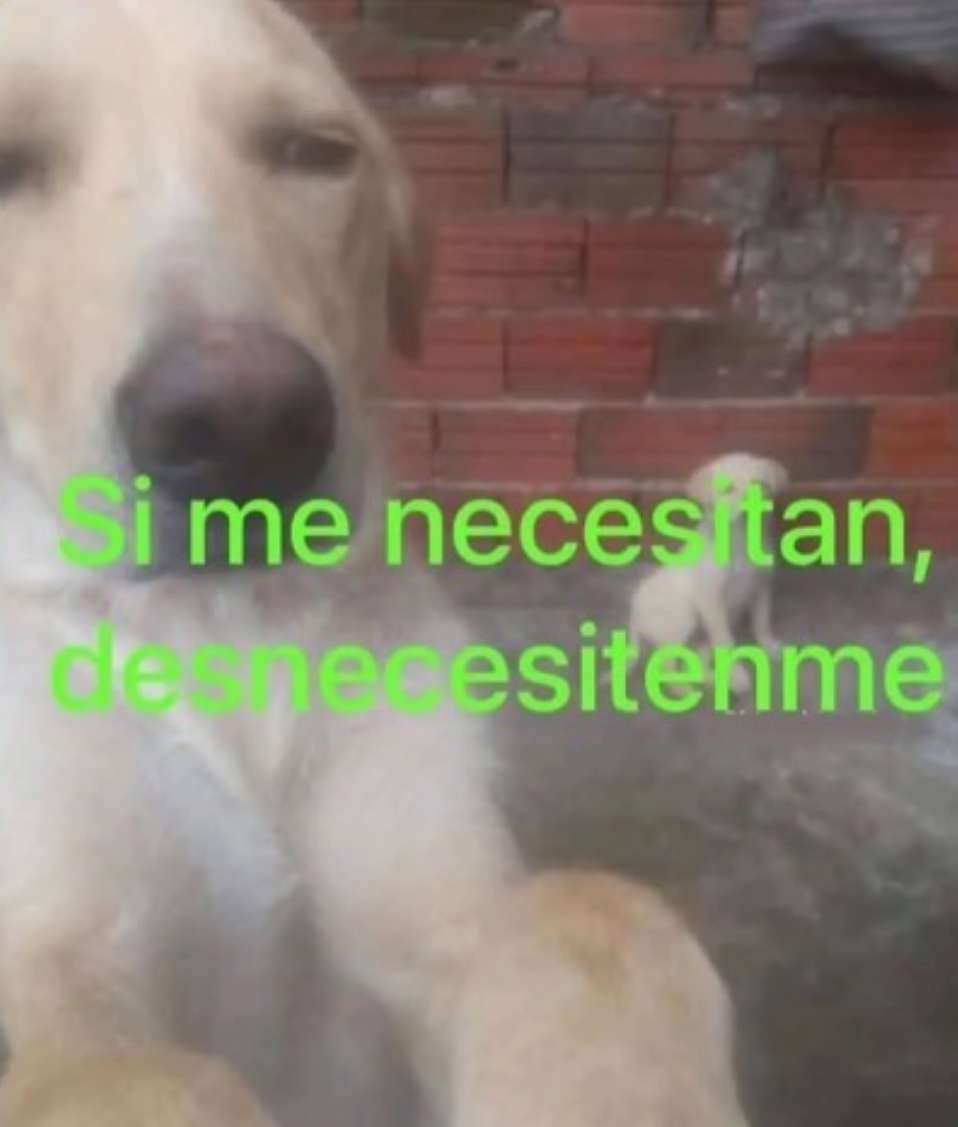 1b1337e188b284400bb1051f90135c340789fd97be715d26e01dc3246032a9d4.jpeg