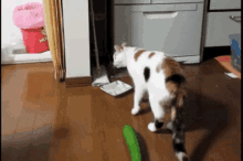 26a0a18013a9b82b0d4a12c35799f69ede311d1b2a09d1184d7533c3cacfc75e.gif