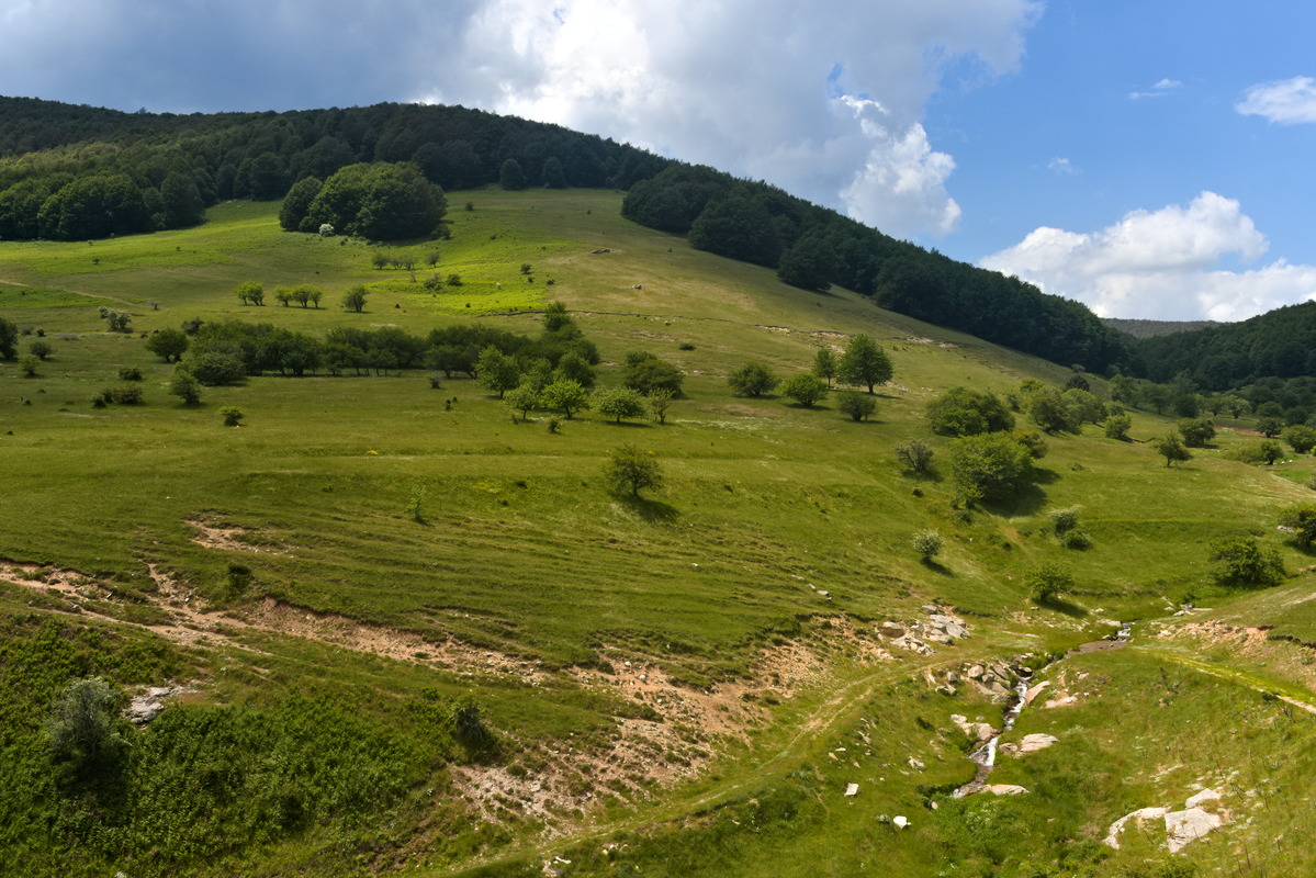 GM! Photo taken in Nymfaio, Western…