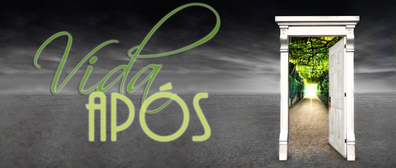 Cover image for Vida Após