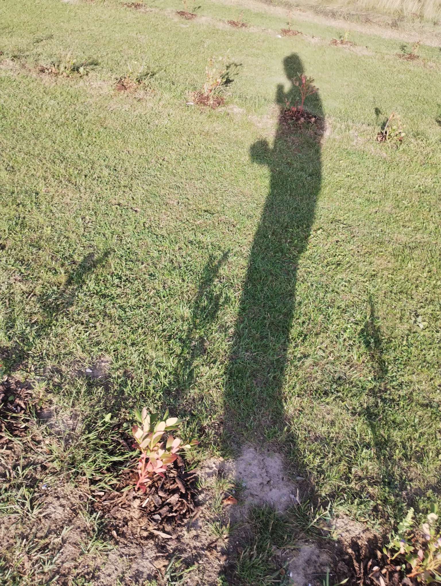 67b0fa85323de09a9ca20f5125dd23bb3ae130d02bda77bfe3725cec9d847015.jpeg