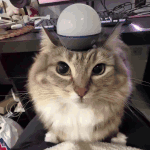 693ce1fd0c911be8f0cef350ebf4bb6d68d9e904b08fdad2c7a6bac3d0c70905.gif