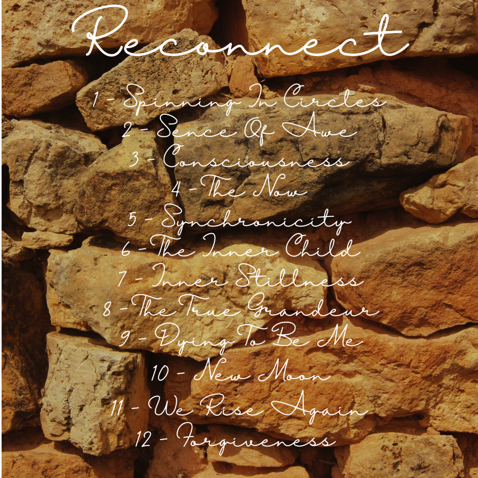 Reconnect — image 2