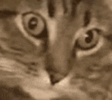 https://cdn.nostrcheck.me/c7e22347e43d7014ad8ca3bc73babdeae18149672e7c8f8b608d1e31bc3c80ab.gif