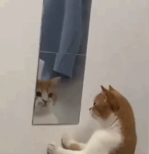 e017349b17836153d5c8e2b3208ec562a26c5ad183dfec183135d620f64a41a3.gif